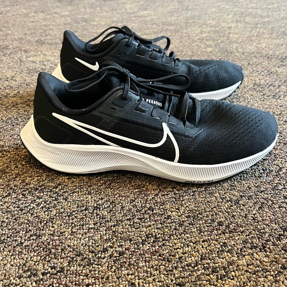 Nike Pegasus